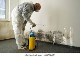 Best Residential Mold Inspection & Testing  in Mentor, OH